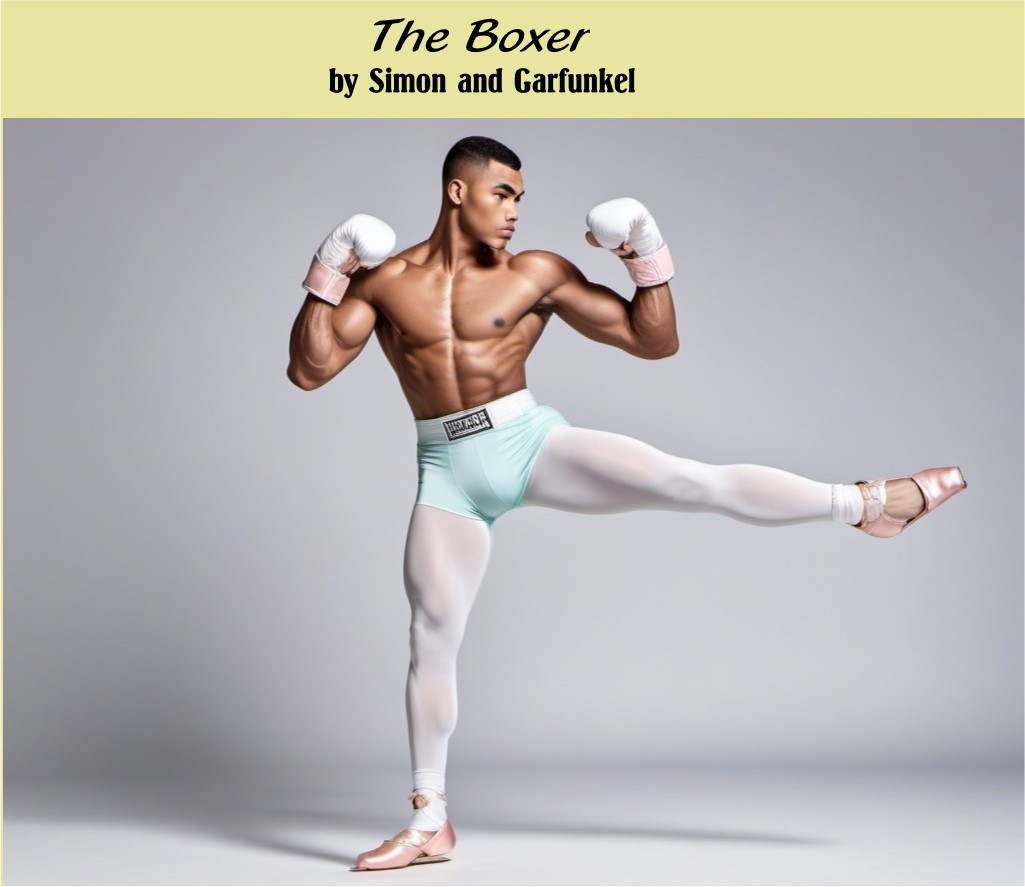 The Boxer